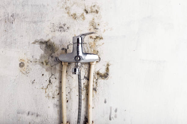 Best Mold Testing  in Glenview, IL
