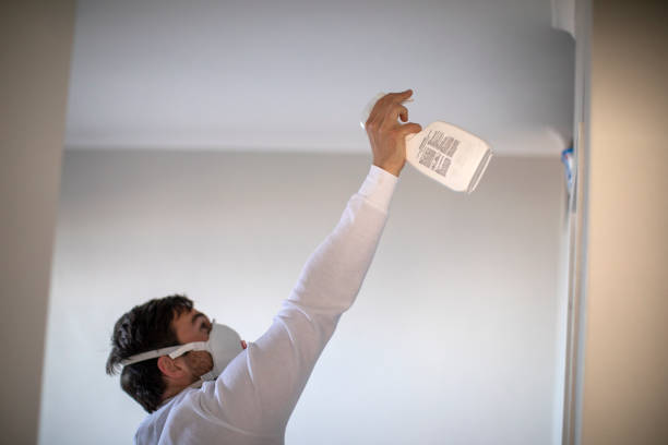 Mold Removal and Inspection in Glenview, IL